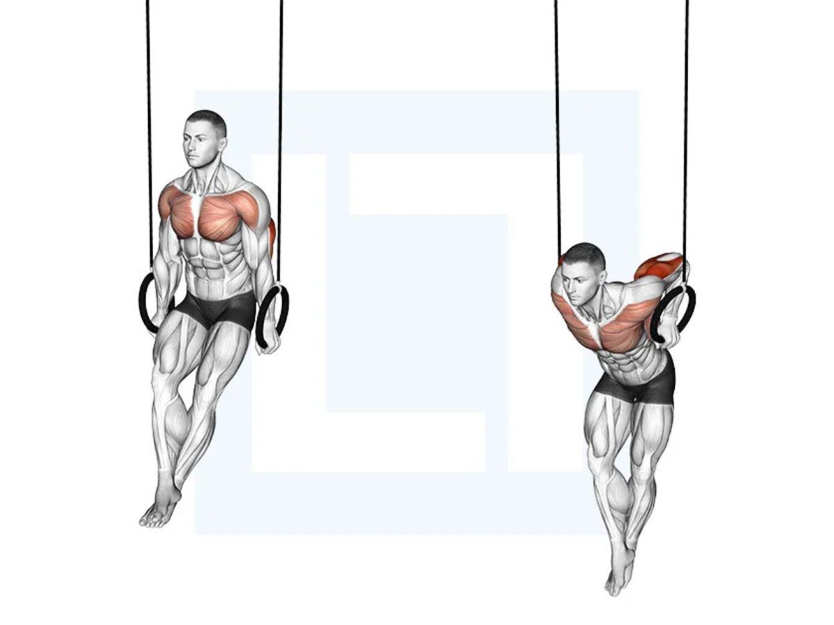  Động tác Ring Dips 