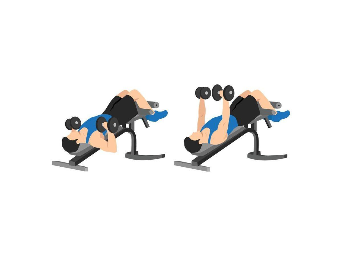 Dumbbell Decline Bench Press