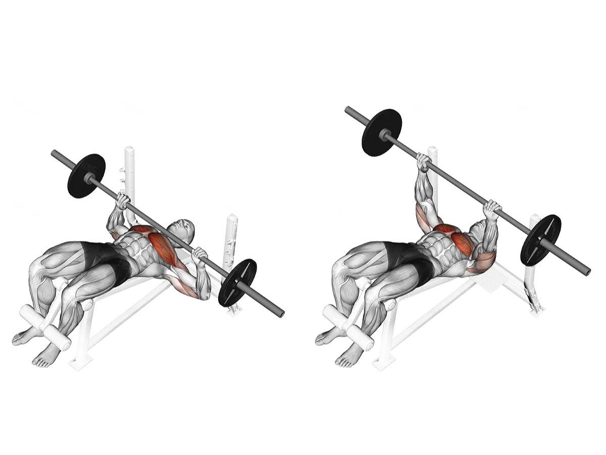 Decline Barbell Bench Press