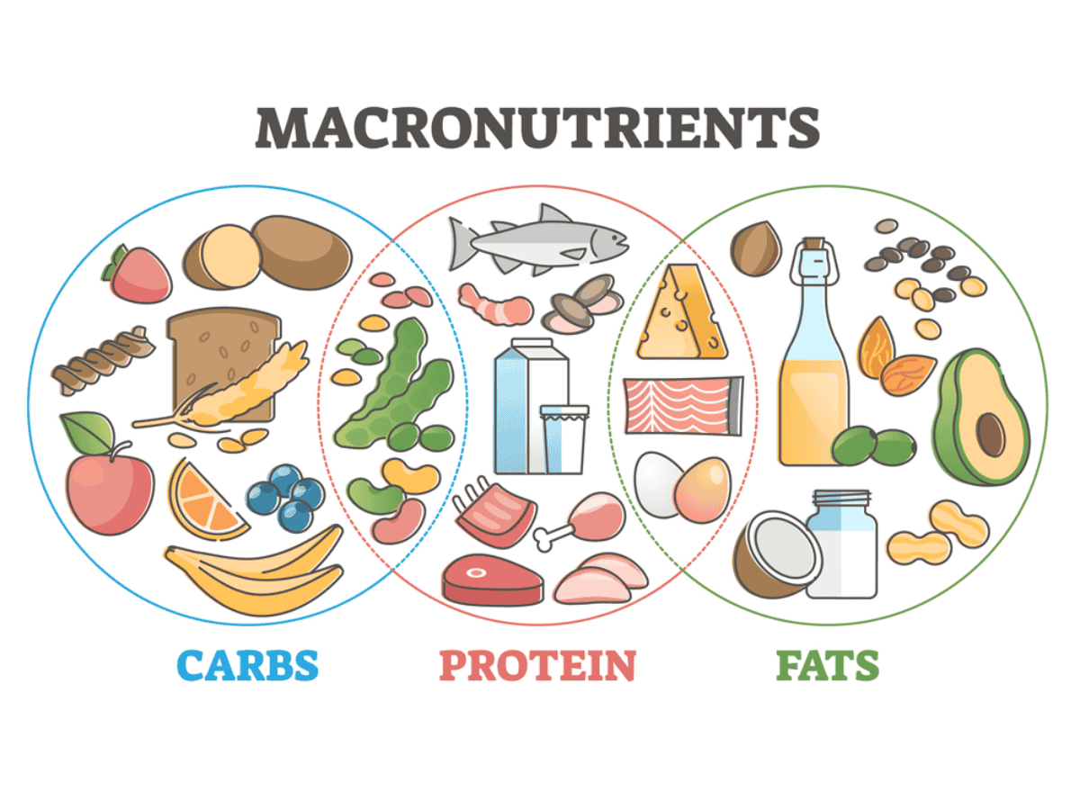 Xác định tỷ lệ các chất dinh dưỡng để xây dựng thực đơn giảm cân