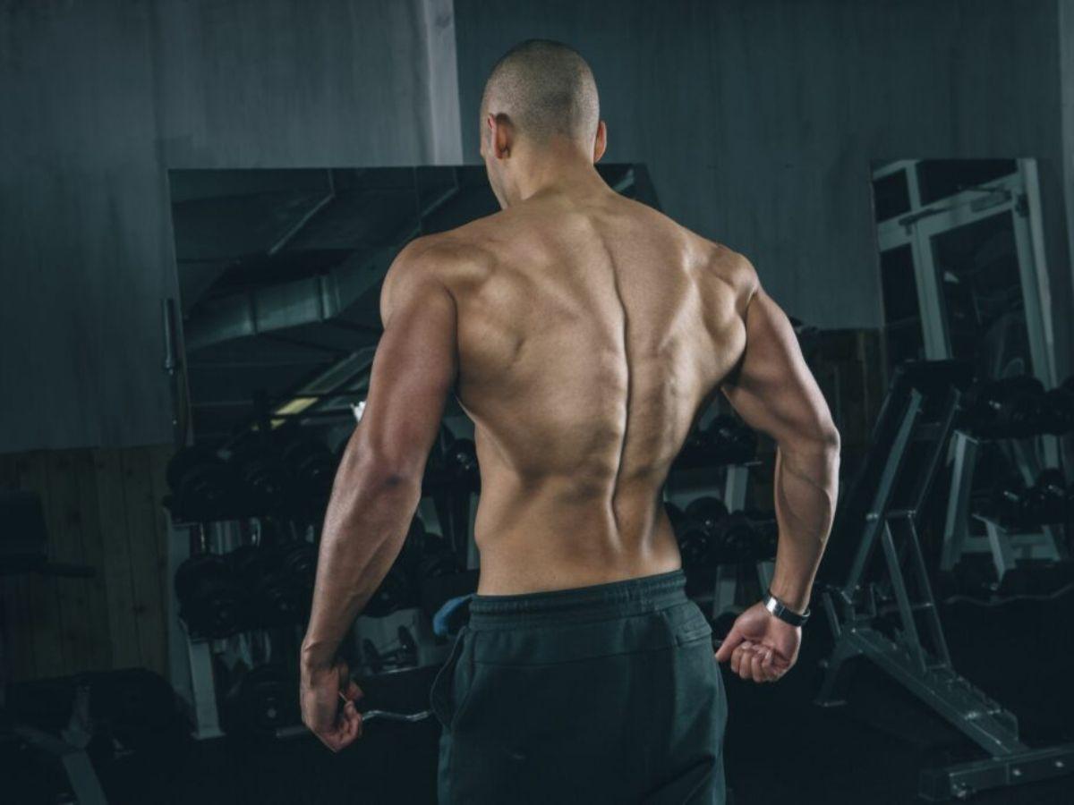 Lưng xô - Nhóm cơ đóng vai trò quan trọng đối với cơ thể con người