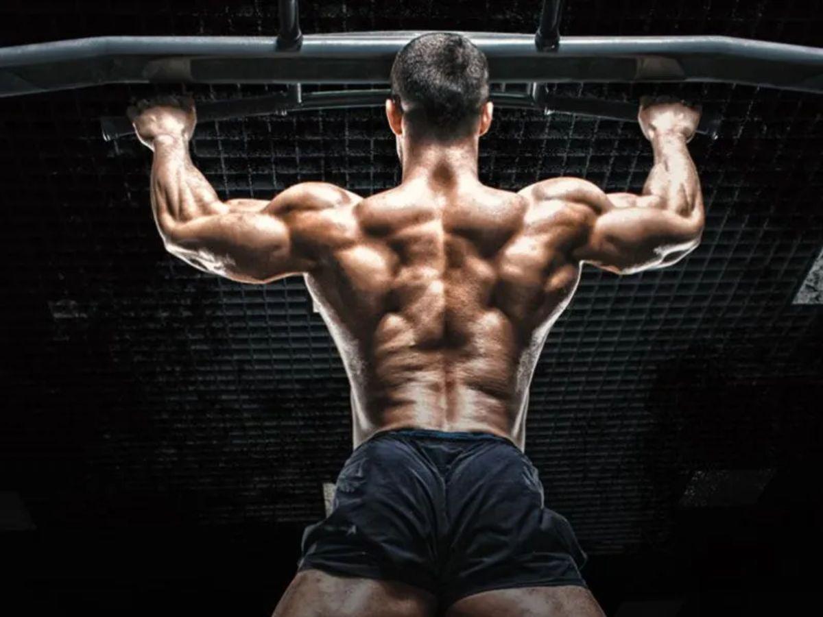 Phân bổ các bài tập lưng xô cơ bản cho nam một cách hợp lí 
