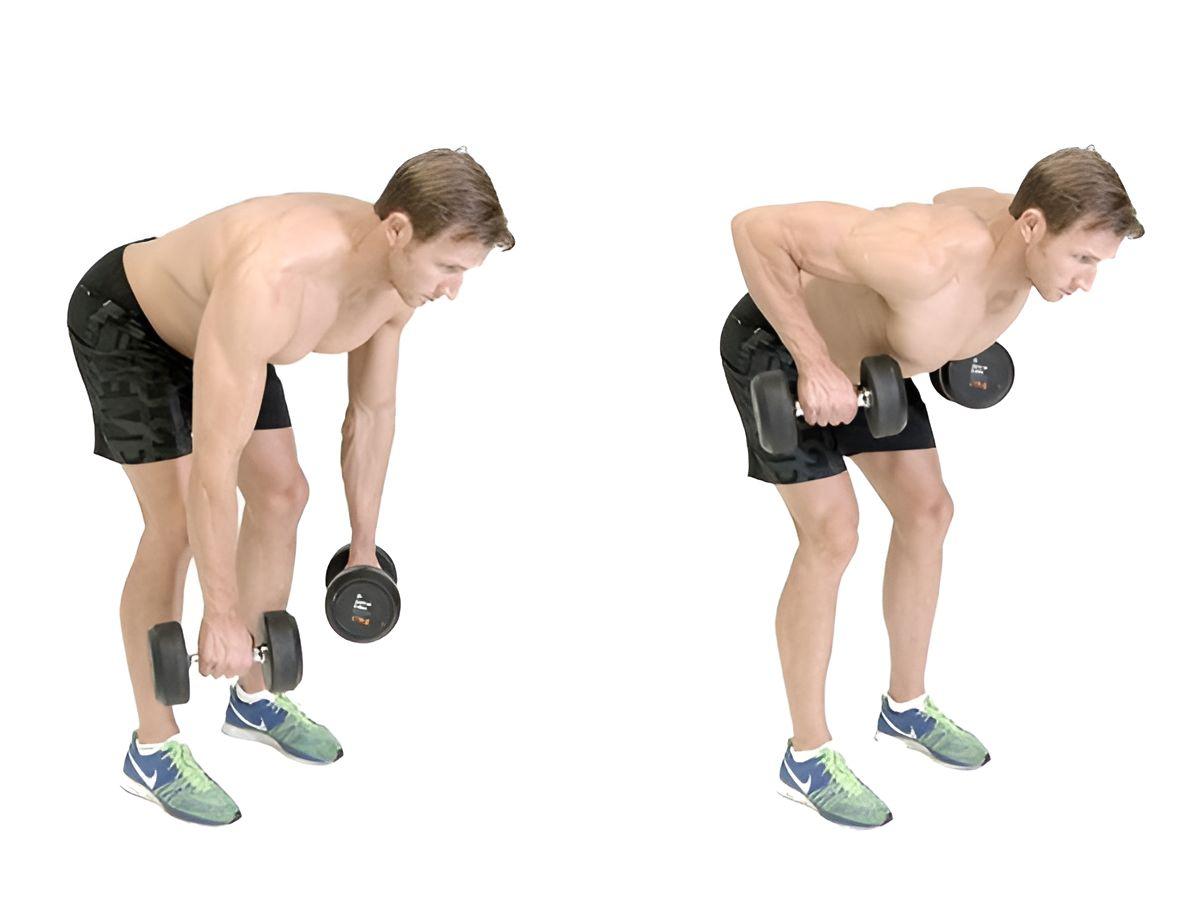 Bent Over Dumbbell: Phát triển toàn diện cơ lưng