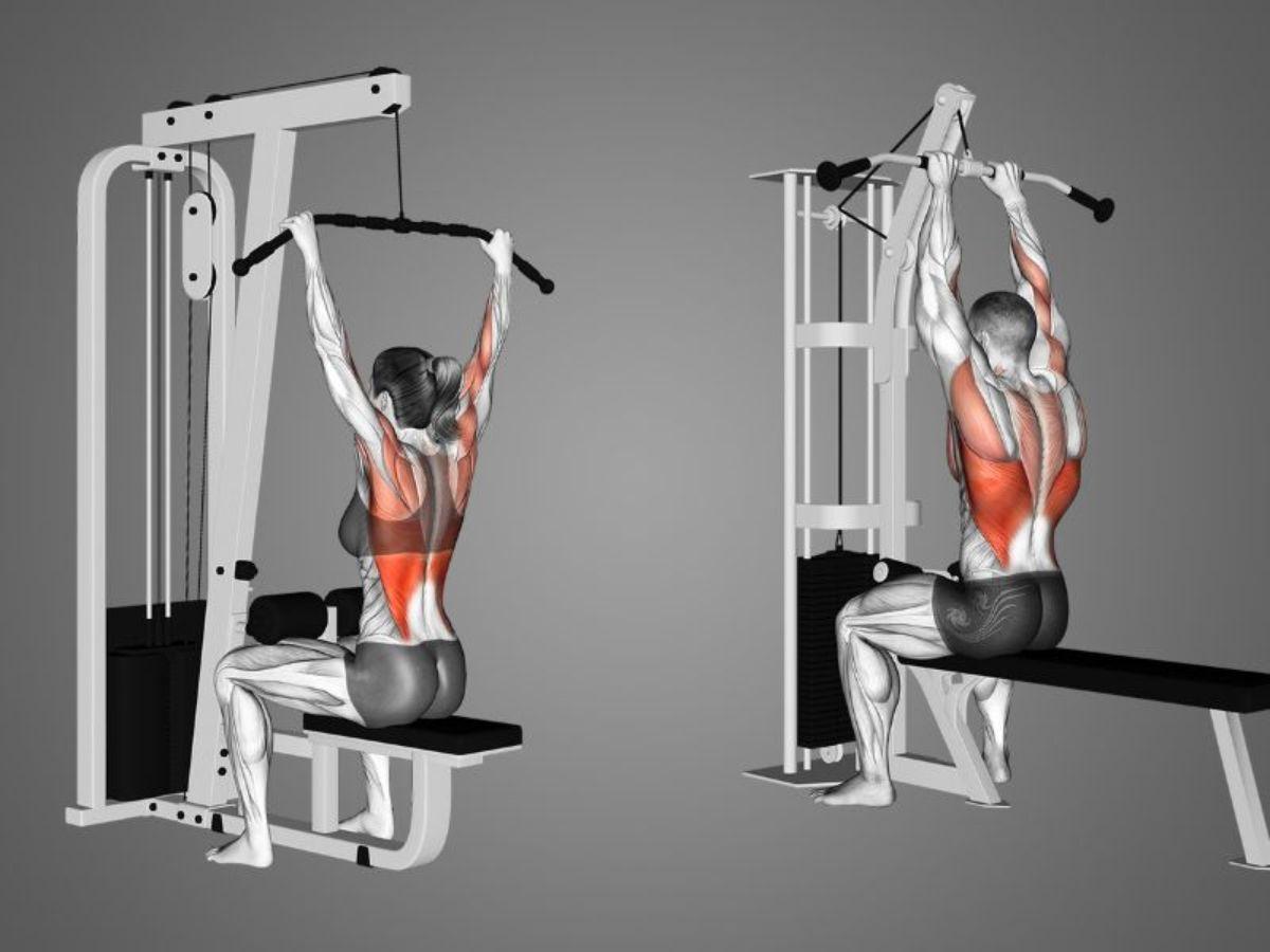 Lat Pulldown: Phát triển cơ xô, tạo dáng lưng chữ V.