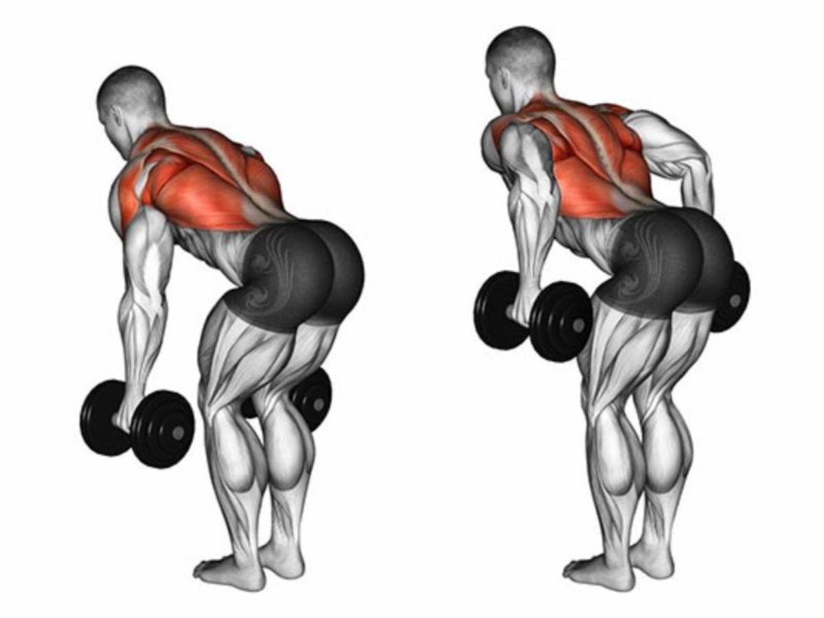 Sử dụng tạ tay và chú ý vị trí khuỷu tay khi thực hiện các bài tập cơ lưng
