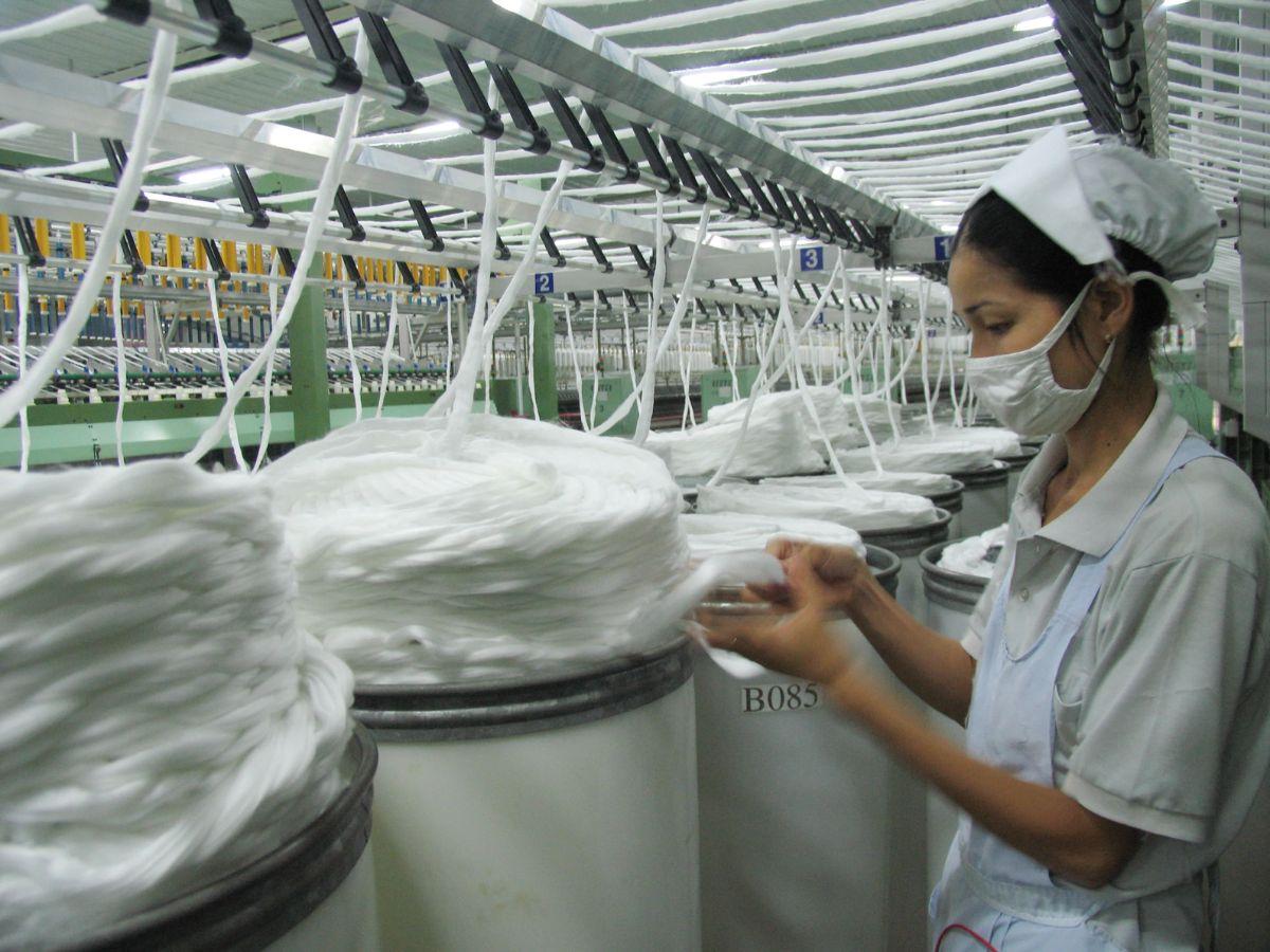 Sau khi thu hoạch bông được mang đi kéo sợi