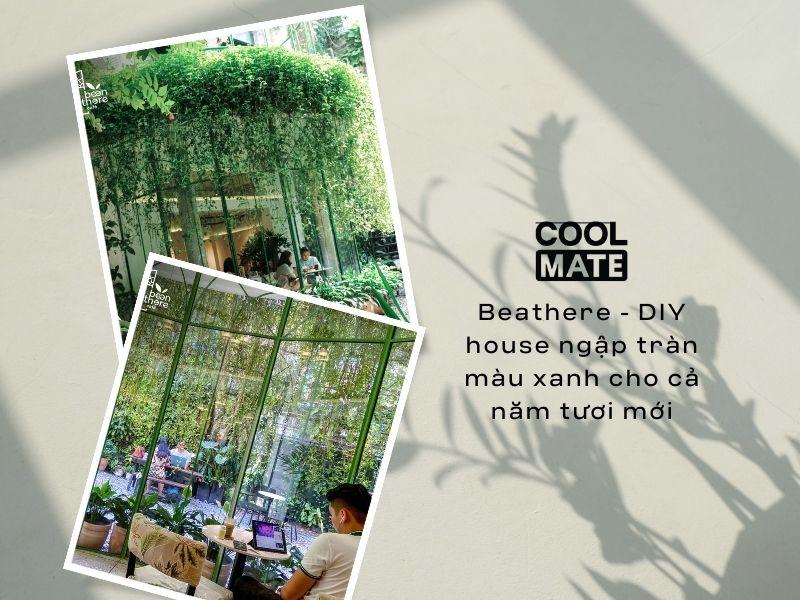 Beathere - DIY house ngập tr&agrave;n m&agrave;u xanh cho cả năm tươi mới