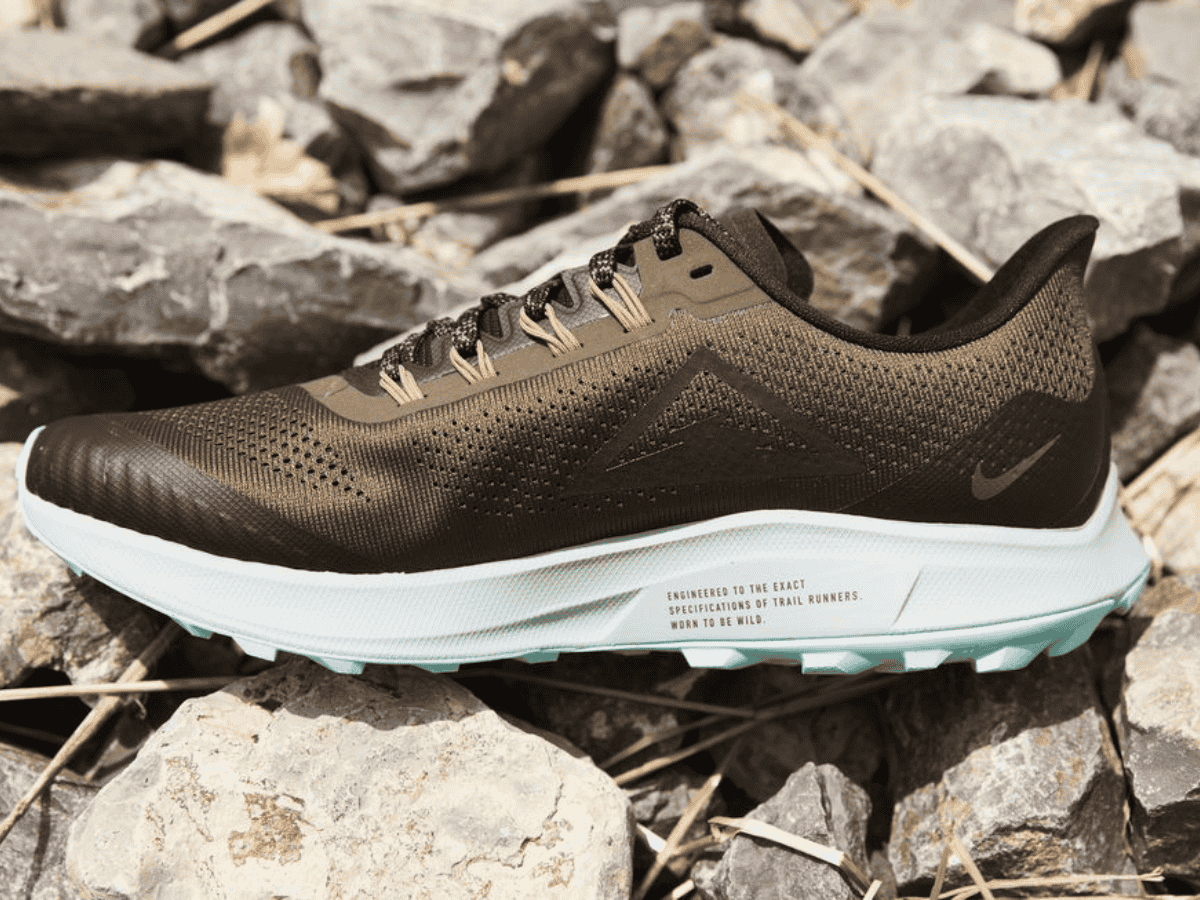Nike Air Zoom Pegasus 36 