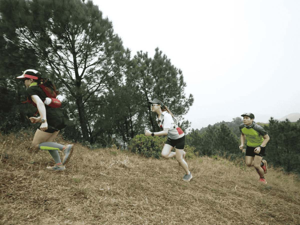 Đồng Đò cũng từng là địa điểm tổ chức cuộc thi Vietnam Mountain marathon