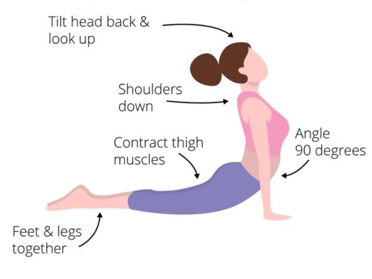 Mô tả tư thế rắn hổ mang