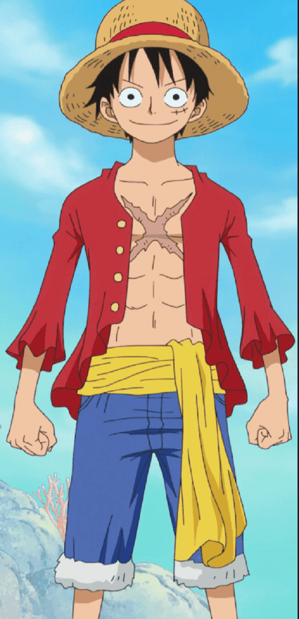 Luffy với vết sẹo đặc trưng và mái tóc hơi rối