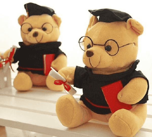Những chú gấu bông cử nhân đáng yêu đầy ý nghĩa ẩn dụ