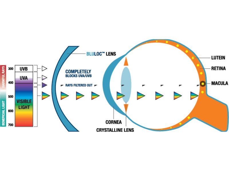 kinh-chong-anh-sang-xanh-co-nen-su-dung-167