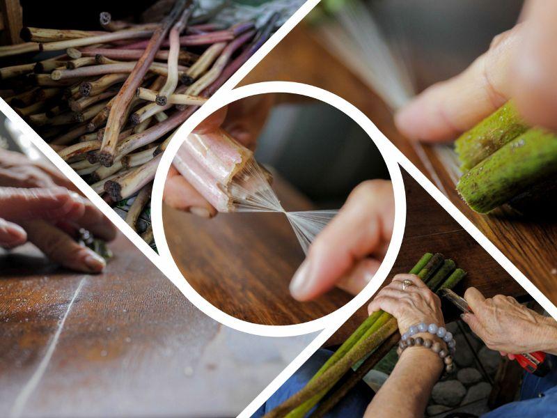 Để lấy được các sợi lụa tơ sen, thợ cần dùng dao rạch một đường nhỏ ở cuống sen.