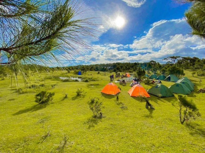 Dịch vụ cắm trại ở Đà Lạt