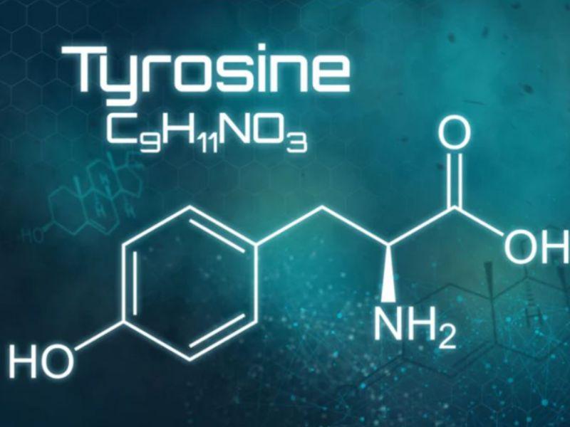 tyrosine là gì