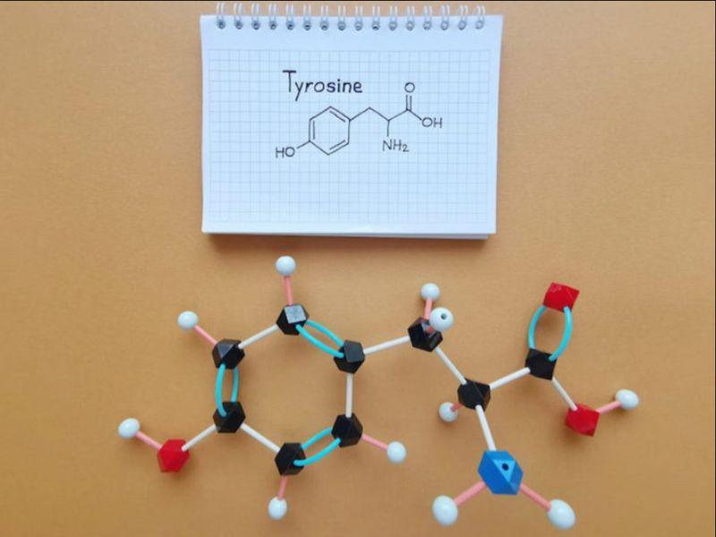 tyrosine có trong thực phẩm nào