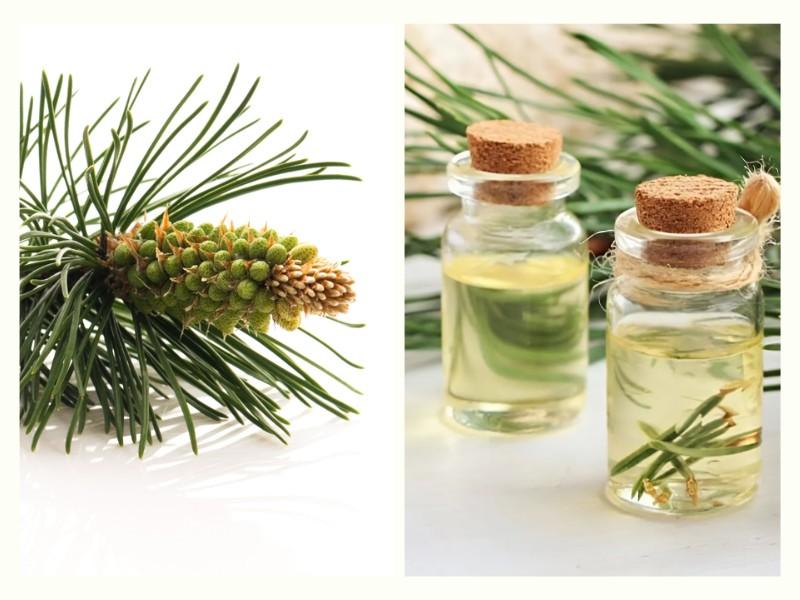 Dầu thông & Ester giúp xóa hình, chữ in trên áo khoác nhanh gọn, an toàn  