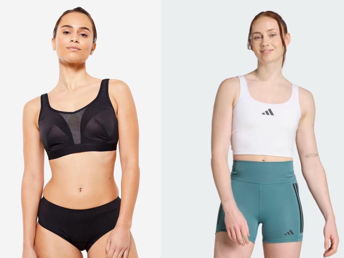 Phân Loại Theo Mức Độ Nâng Đỡ