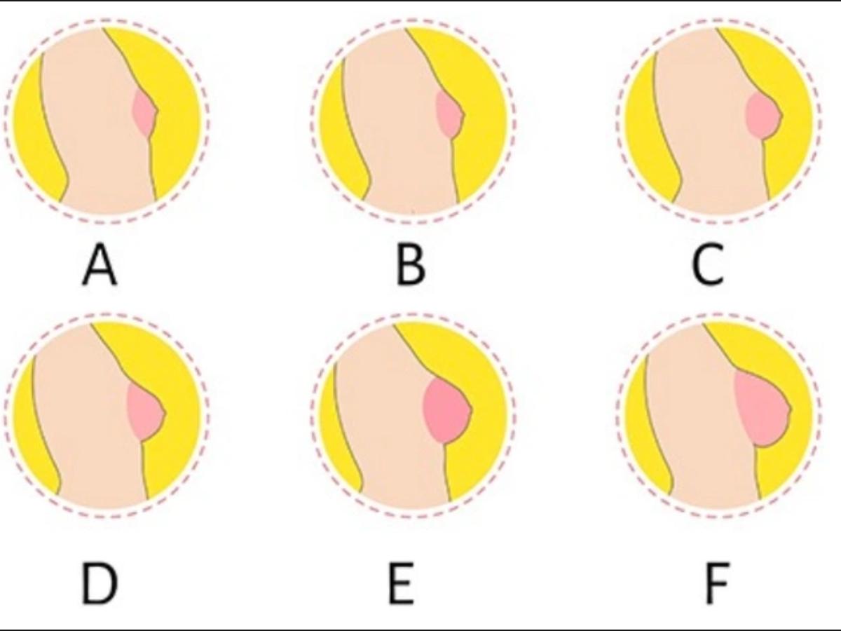 Cách tính cúp ngực dựa trên số đo cơ thể