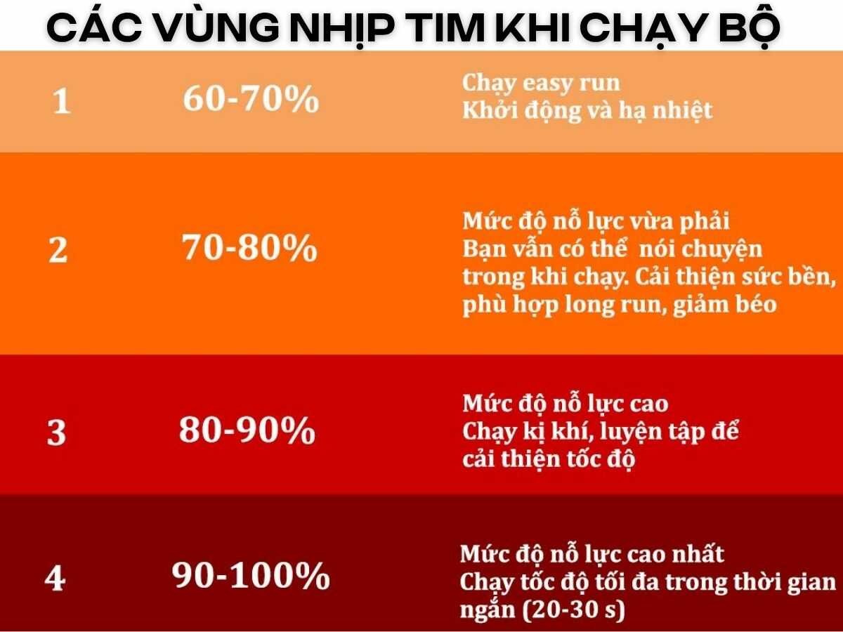 Các vùng nhịp tim khi chạy bộ từ vùng 1 đến vùng 4 phù hợp cho từng mục tiêu luyện tập