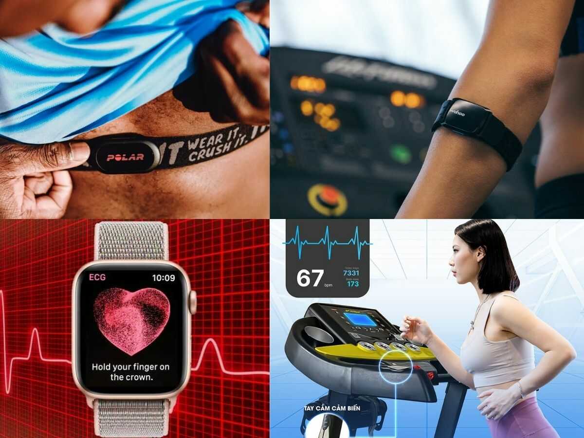 Các thiết bị đo nhịp tim phổ biến