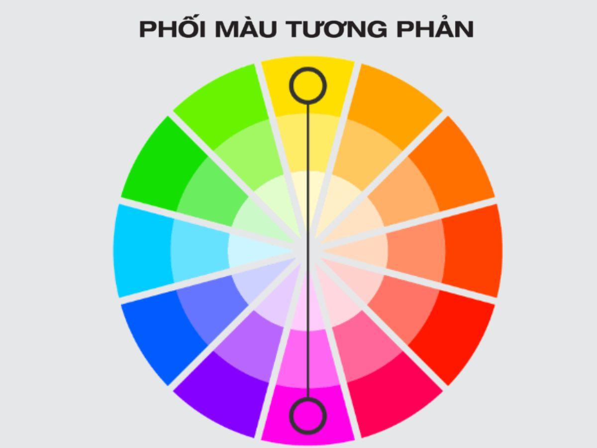 Nguyên Tắc Phối Màu Quần Short Đỏ Cơ Bản 