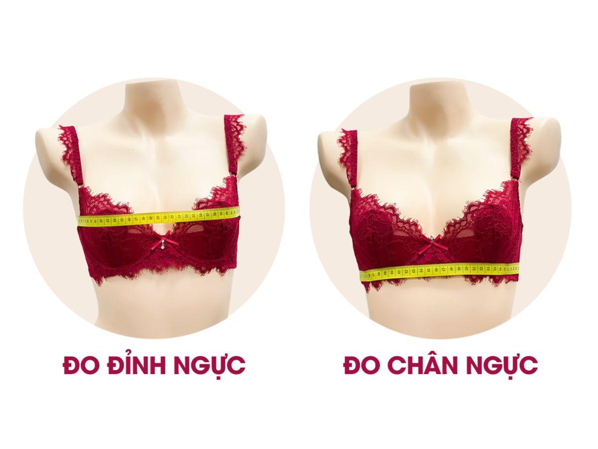 Hướng dẫn do size áo ngực chuẩn