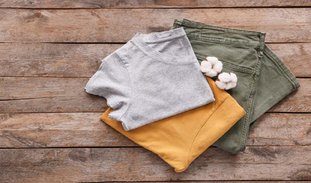 cotton hữu cơ organic cotton thân thiện môi trường