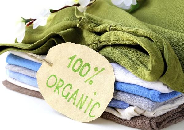 cotton hữu cơ organic cotton thân thiện môi trường