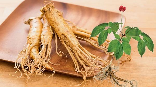 Nhân sâm cũng là quà tặng phổ biến cho sếp nam