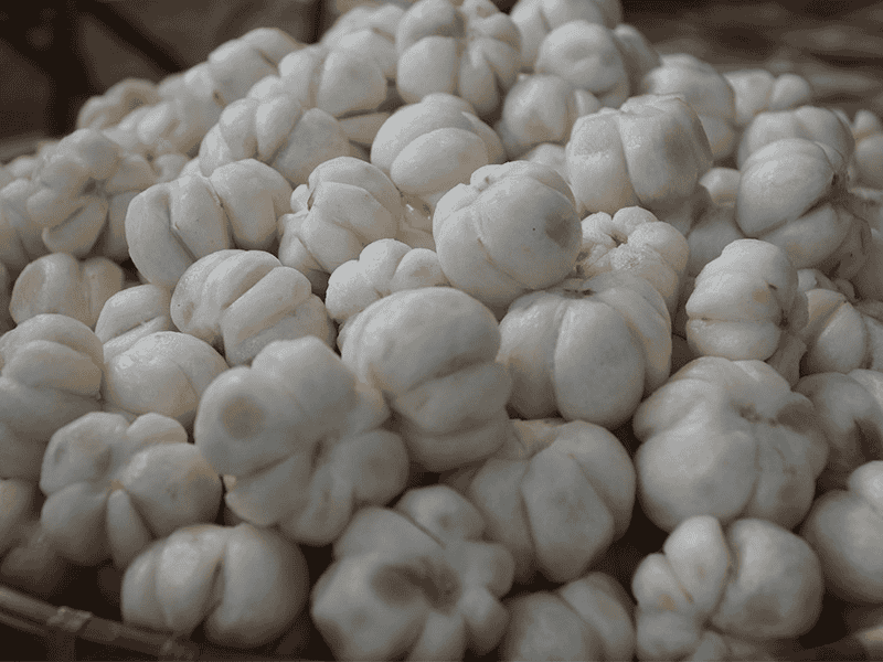 Gọt vỏ măng cụt