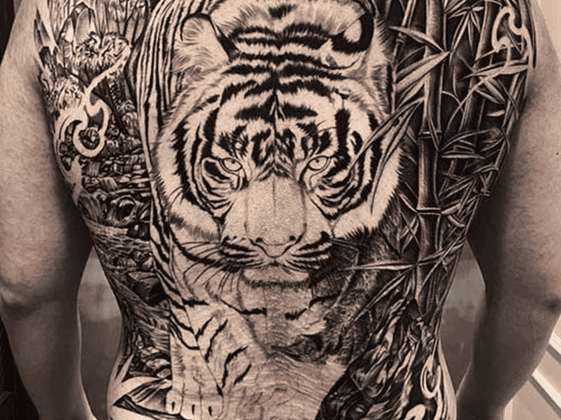 Tattoo hổ đại diện cho sức mạnh, uy quyền