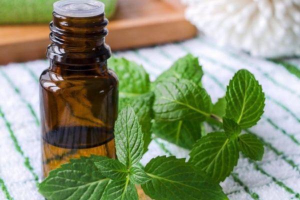 huong-dan-moc-toc-nhanh-cho-nam