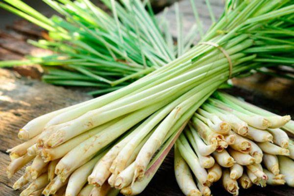 huong-dan-moc-toc-nhanh-cho-nam