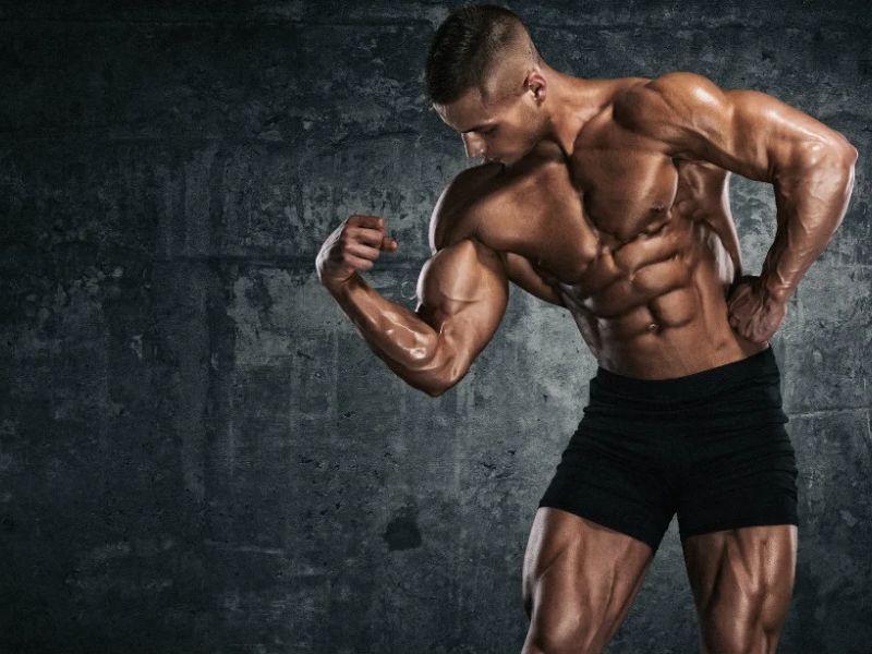 Hình ảnh minh họa Muscle Memory