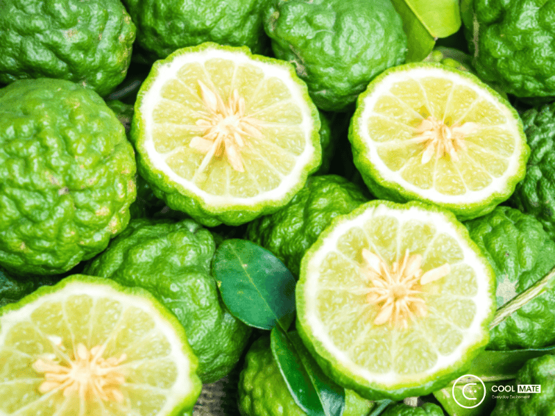 nuoc-hoa-huong-cam-bergamot-2039