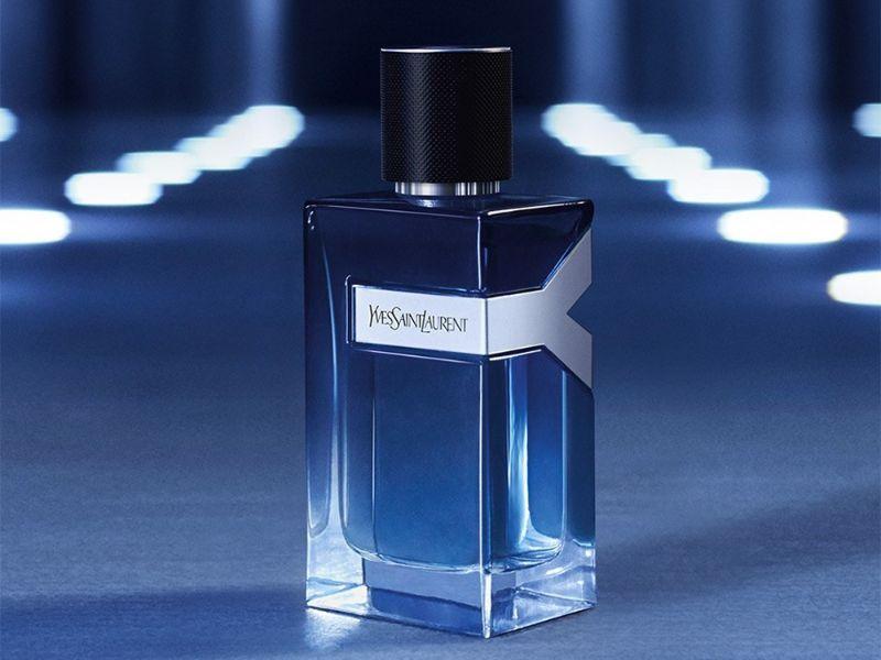 Nước hoa Pháp Yves Saint Laurent Y EDP Intense
