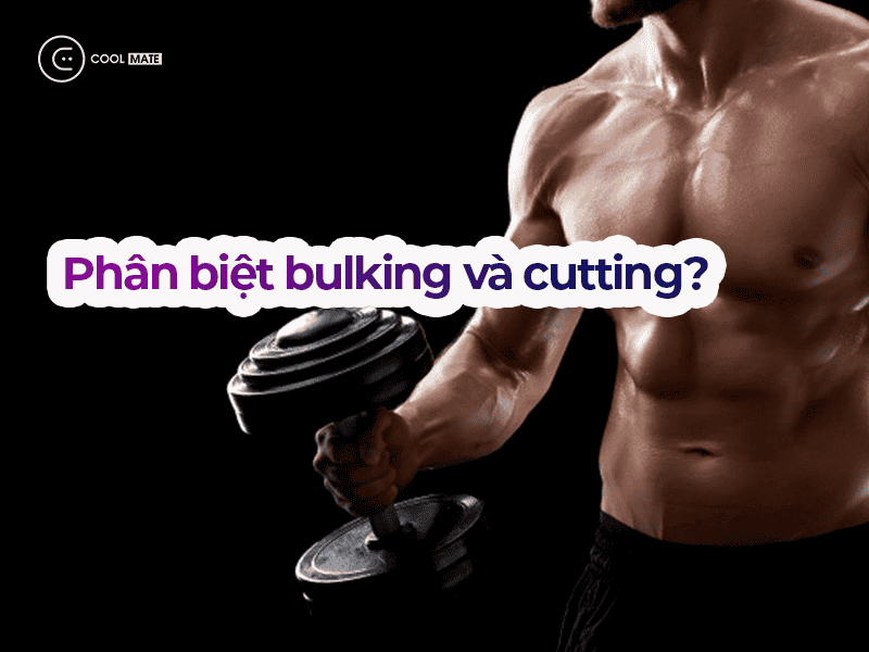 phan-biet-bulking-va-cutting-1947