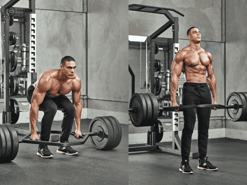 Bài tập Hex-Bar/Trap Bar Deadlift