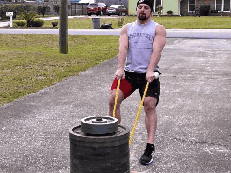 Bài tập Reverse Sled Pulls