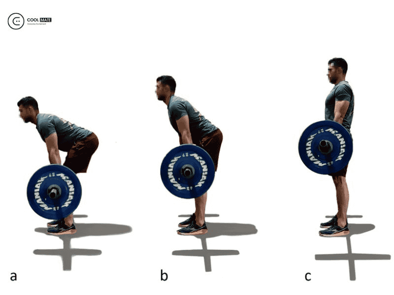 Bài tập Deadlift