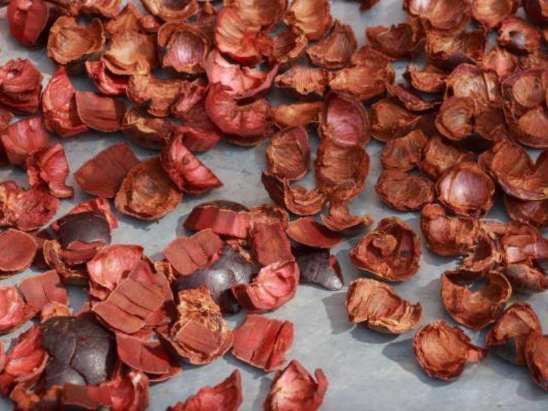 Bảo quản vỏ măng cụt