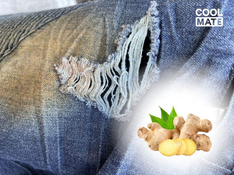    Gừng là nguyên liệu có thể giúp làm sạch các vết ố vàng trên quần jean 