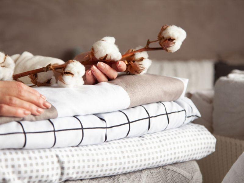 Thành phần vải Cotton