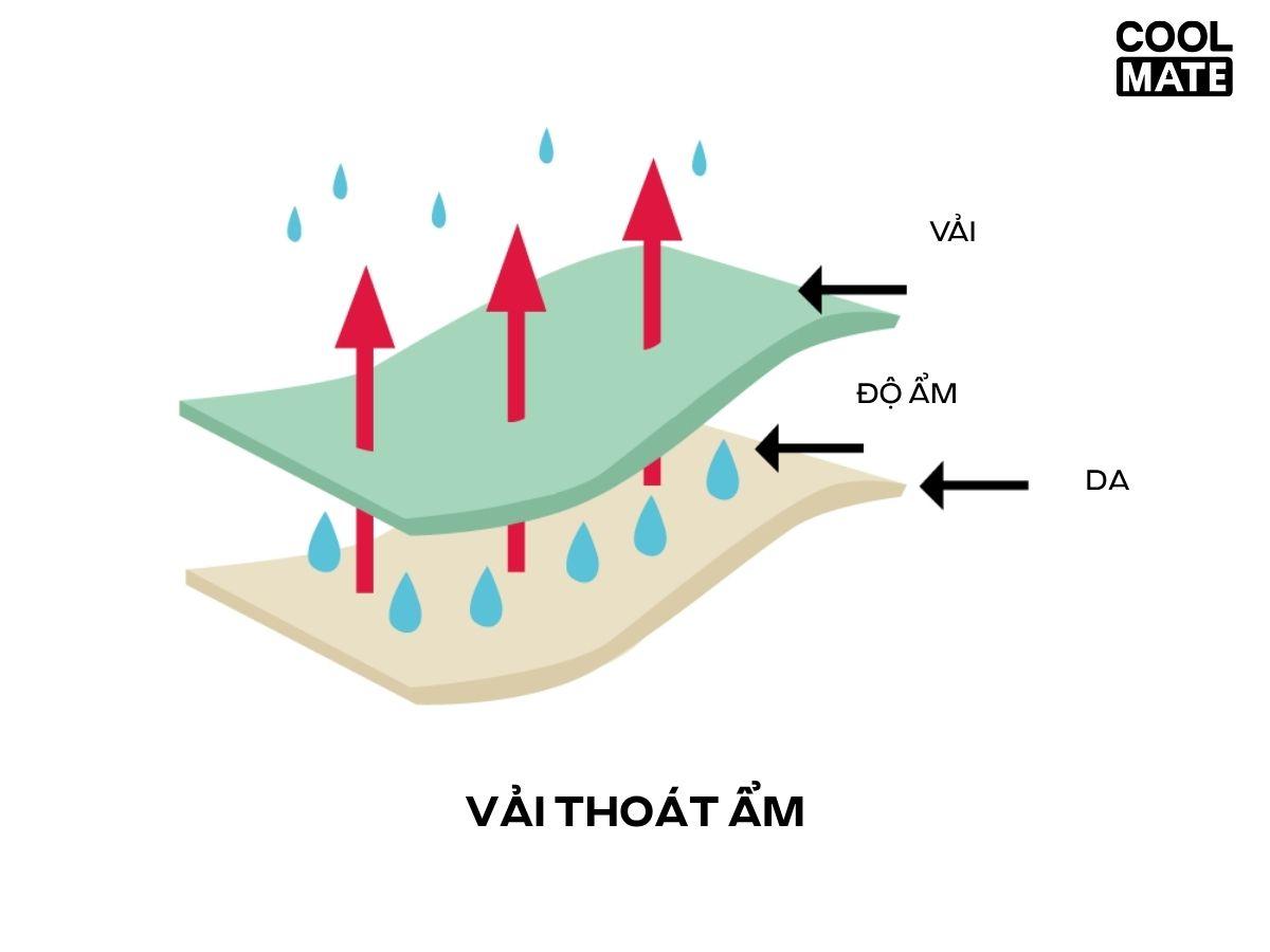Khả năng thoát ẩm của vải giúp cơ thể khô thoáng, không bị khó chịu, ẩm ướt