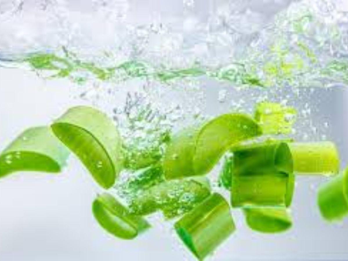 Nha đam (Lô hội): Làm dịu, giảm sưng đỏ