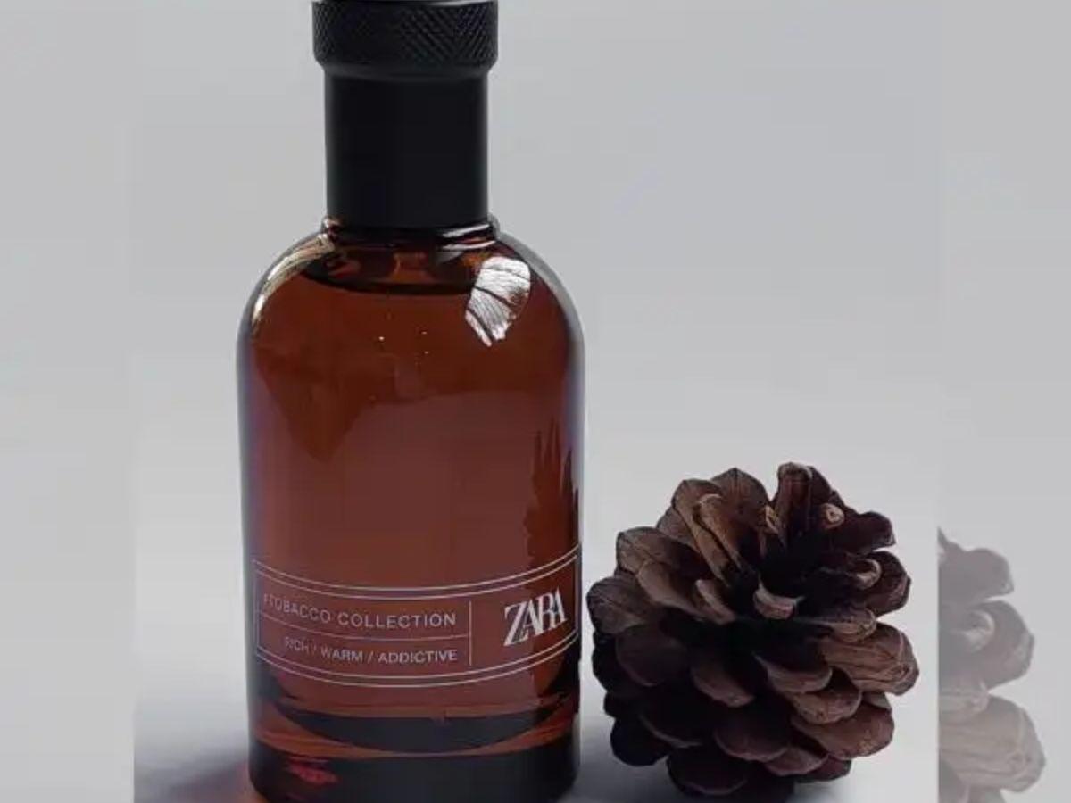Nước hoa Zara nam có thật sự đáng mua?