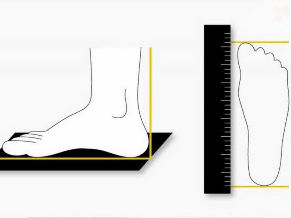 Hướng dẫn cách đo giày Balenciaga chuẩn