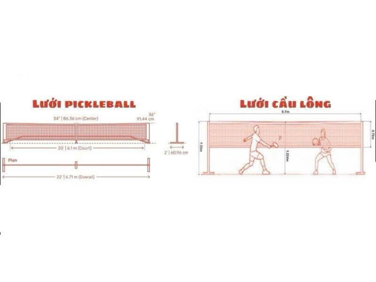 So sánh chiều cao của lưới: pickleball và cầu lông